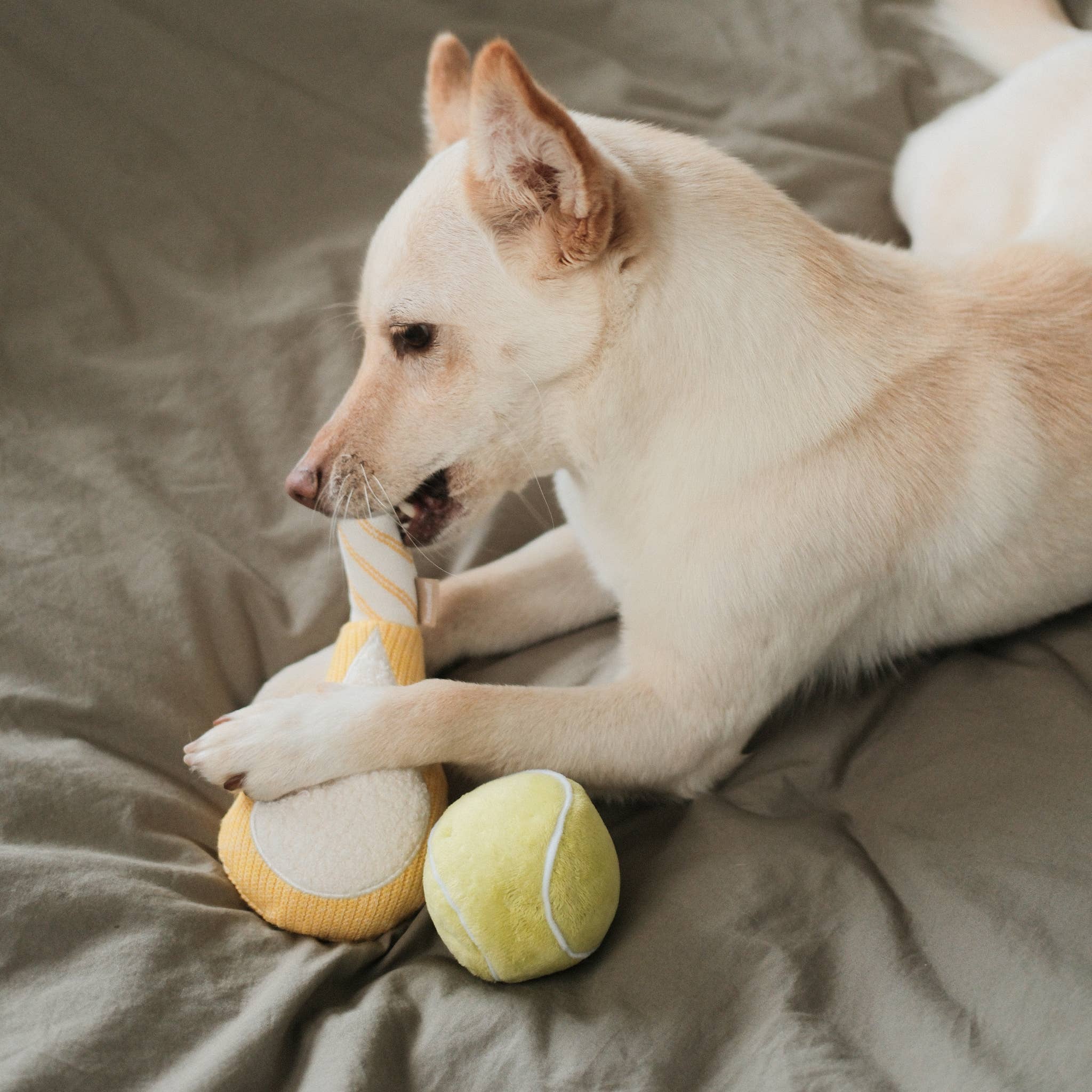 TENNIS POP // ENRICHMENT DOG TOY // Squeaky Ball Set - Crew LaLa