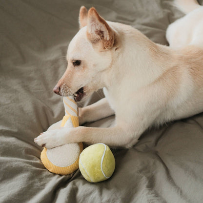 TENNIS POP // ENRICHMENT DOG TOY // Squeaky Ball Set - Crew LaLa