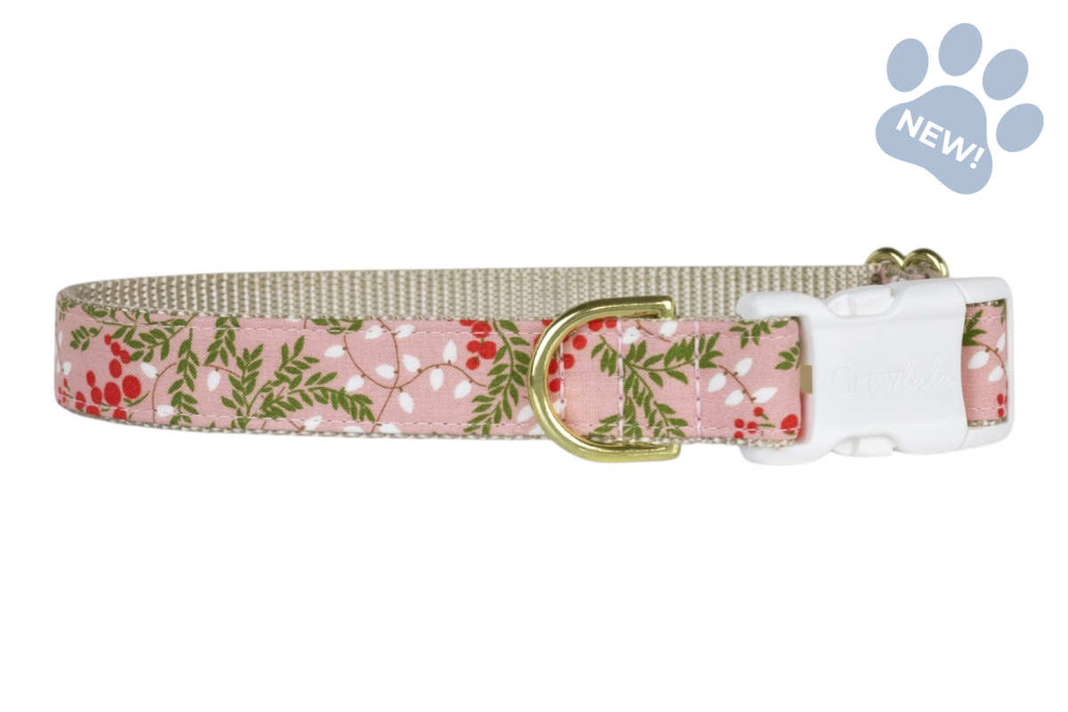 Merry Bright Lights Dog Collar