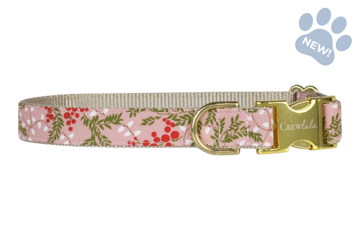 Merry Bright Lights Dog Collar
