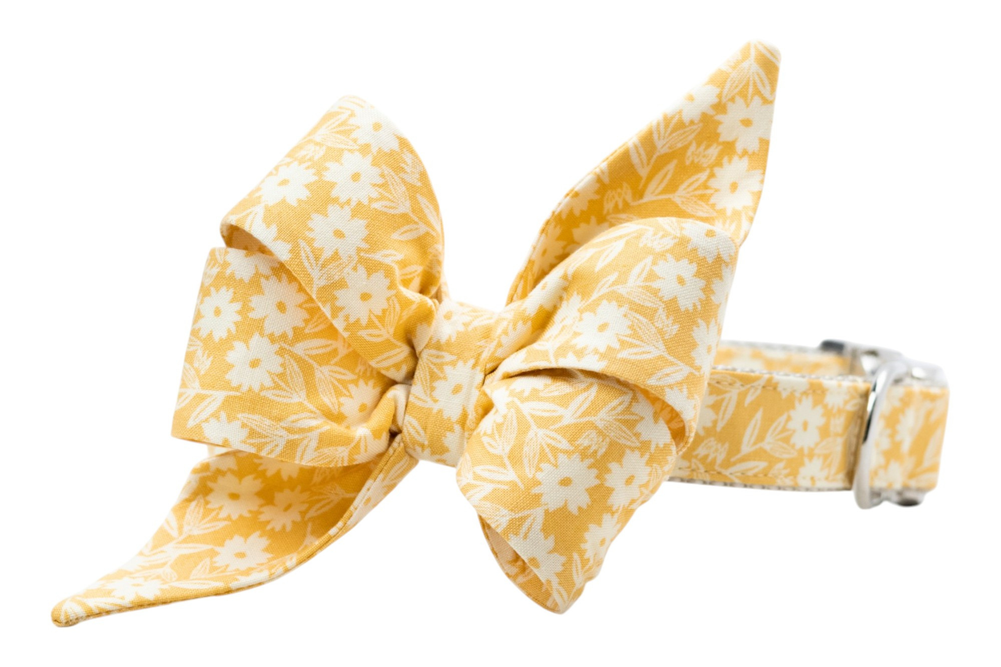 Sunny Stems Belle Bow Collar