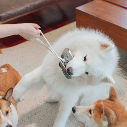 CASSETTE // ENRICHMENT DOG TOY // SNUFFLE TOY - Crew LaLa