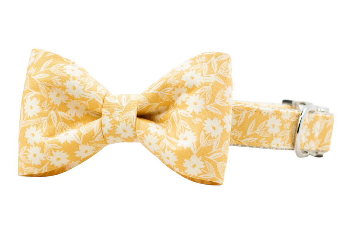 Sunny Stems Bow Tie Collar