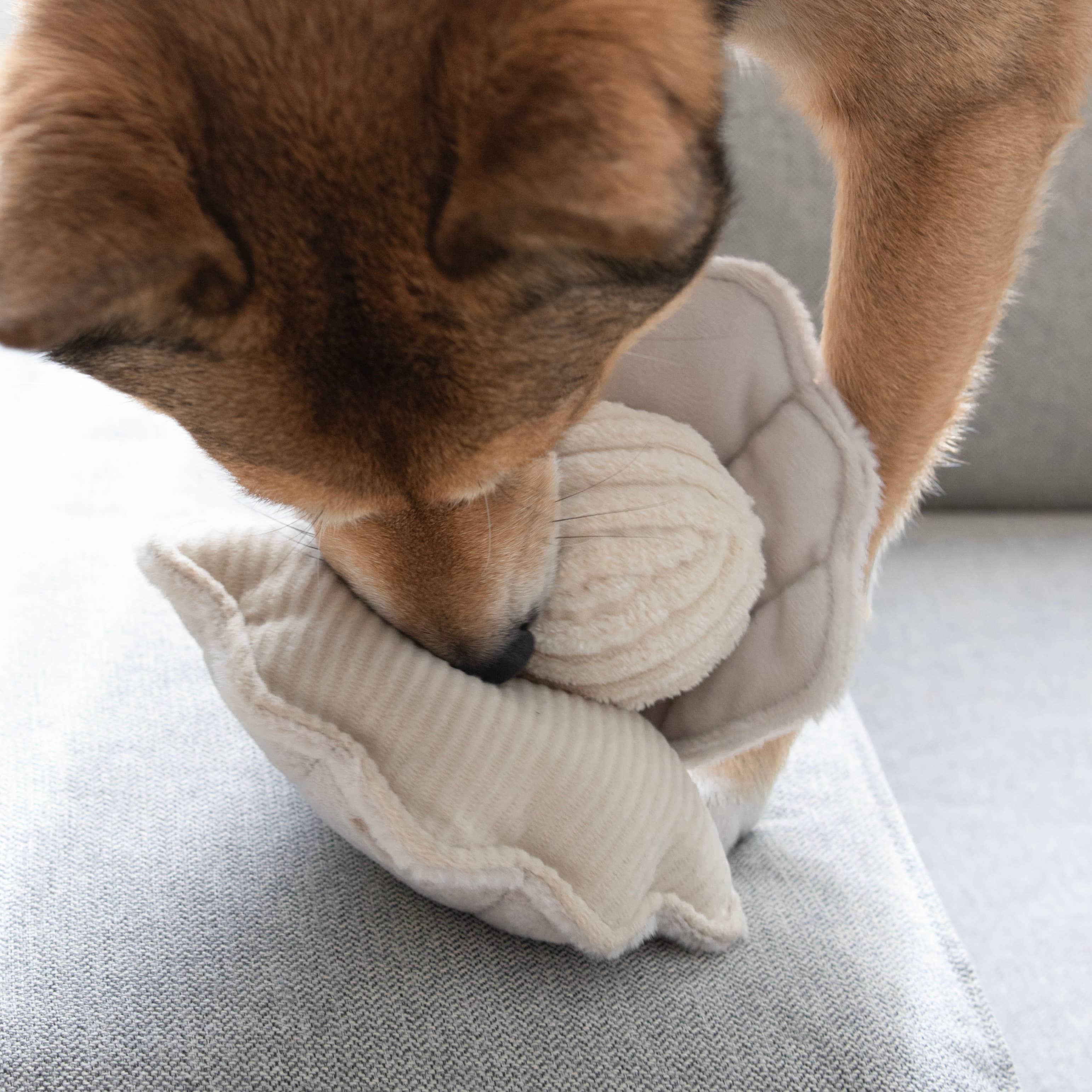OYSTER POP // ENRICHMENT DOG TOY // Squeaky Ball - Crew LaLa