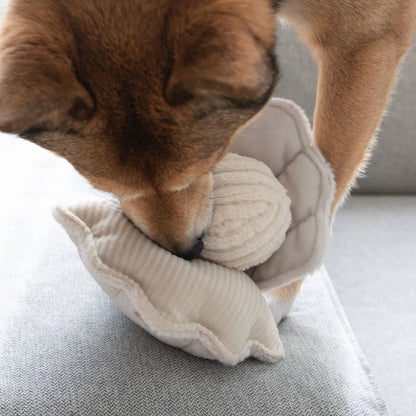 OYSTER POP // ENRICHMENT DOG TOY // Squeaky Ball - Crew LaLa