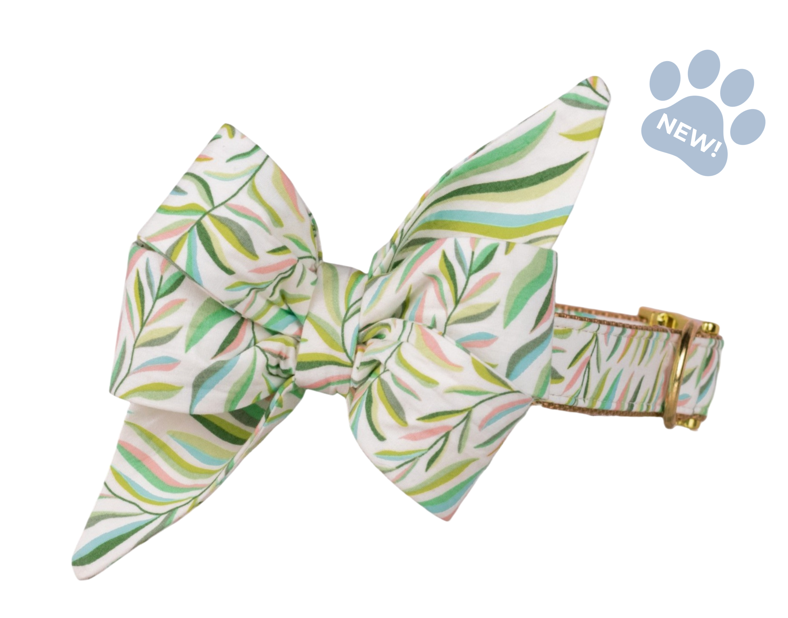 Tropic Time Belle Bow Collar