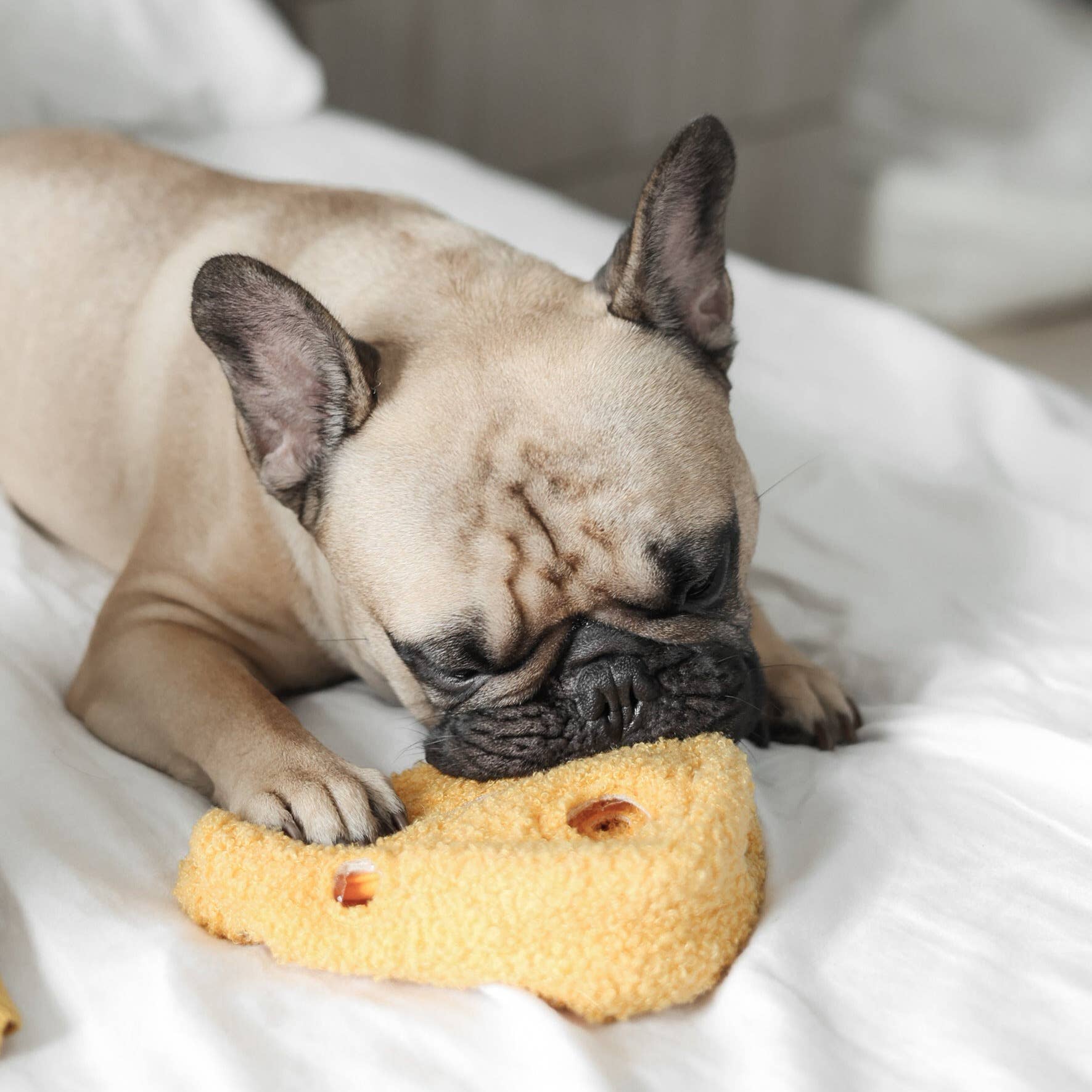 FROMAGE // ENRICHMENT DOG TOY // SNUFFLE TOY - Crew LaLa