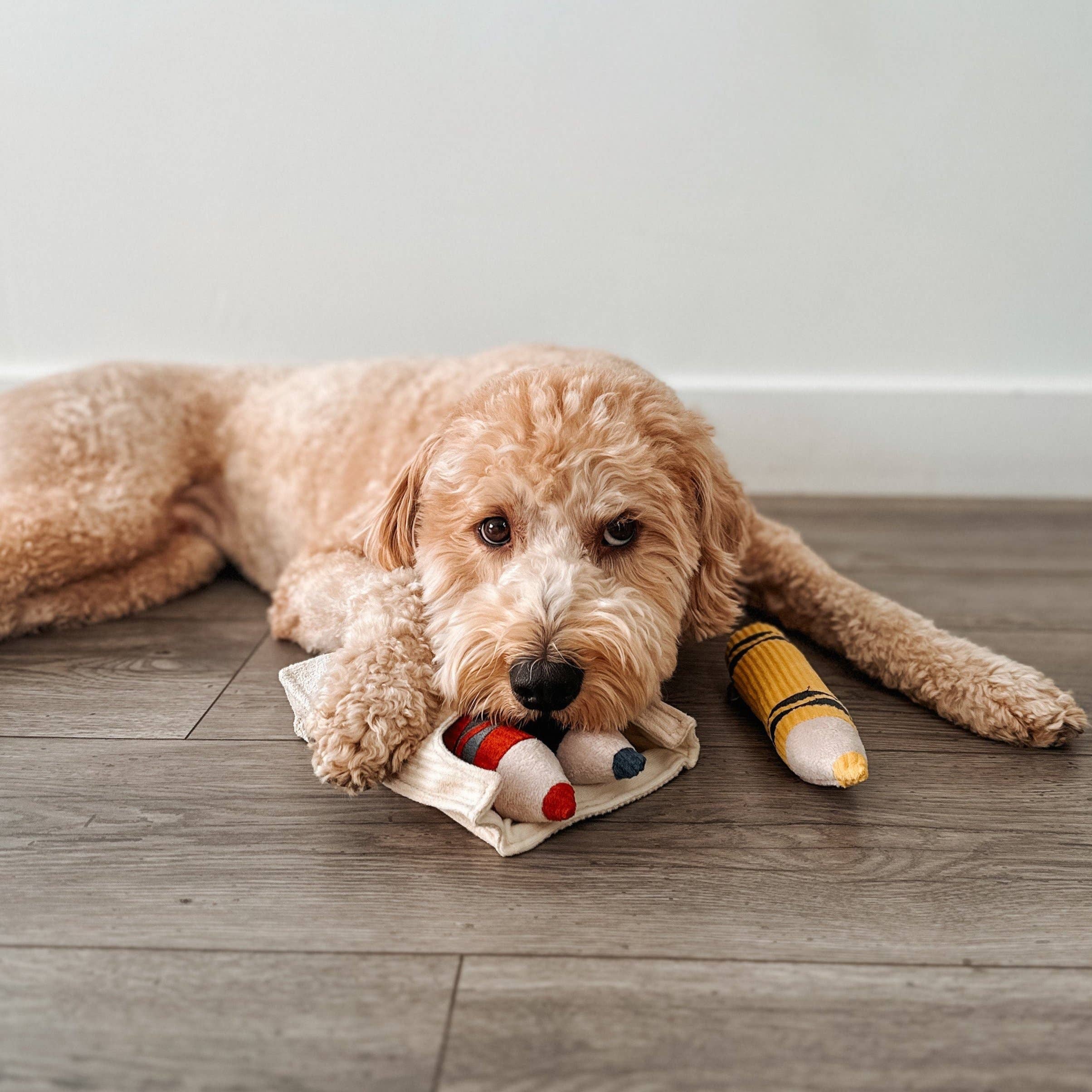 CRAYONS // ENRICHMENT DOG TOY // Squeaky + Snuffle Set - Crew LaLa
