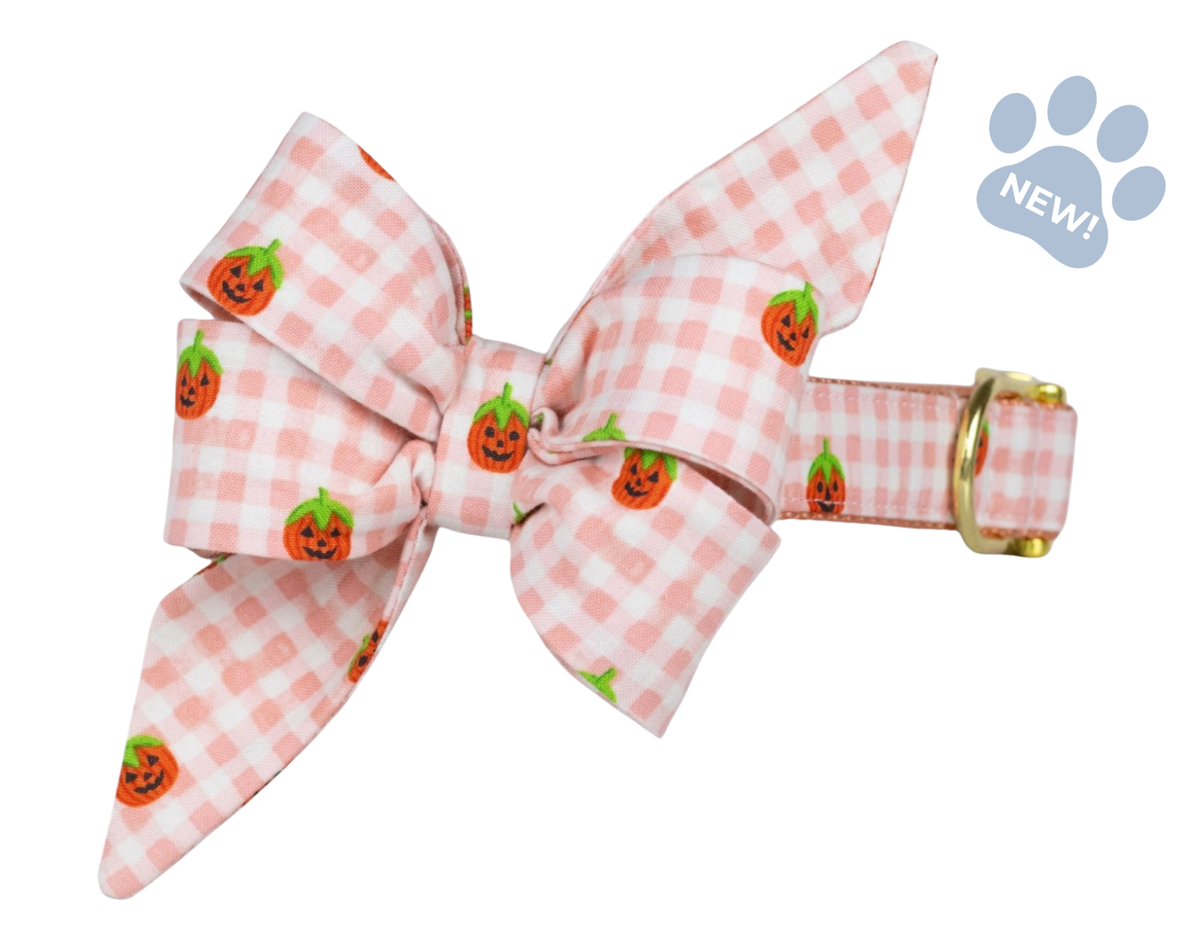 Pumpkin Gingham Belle Bow Collar