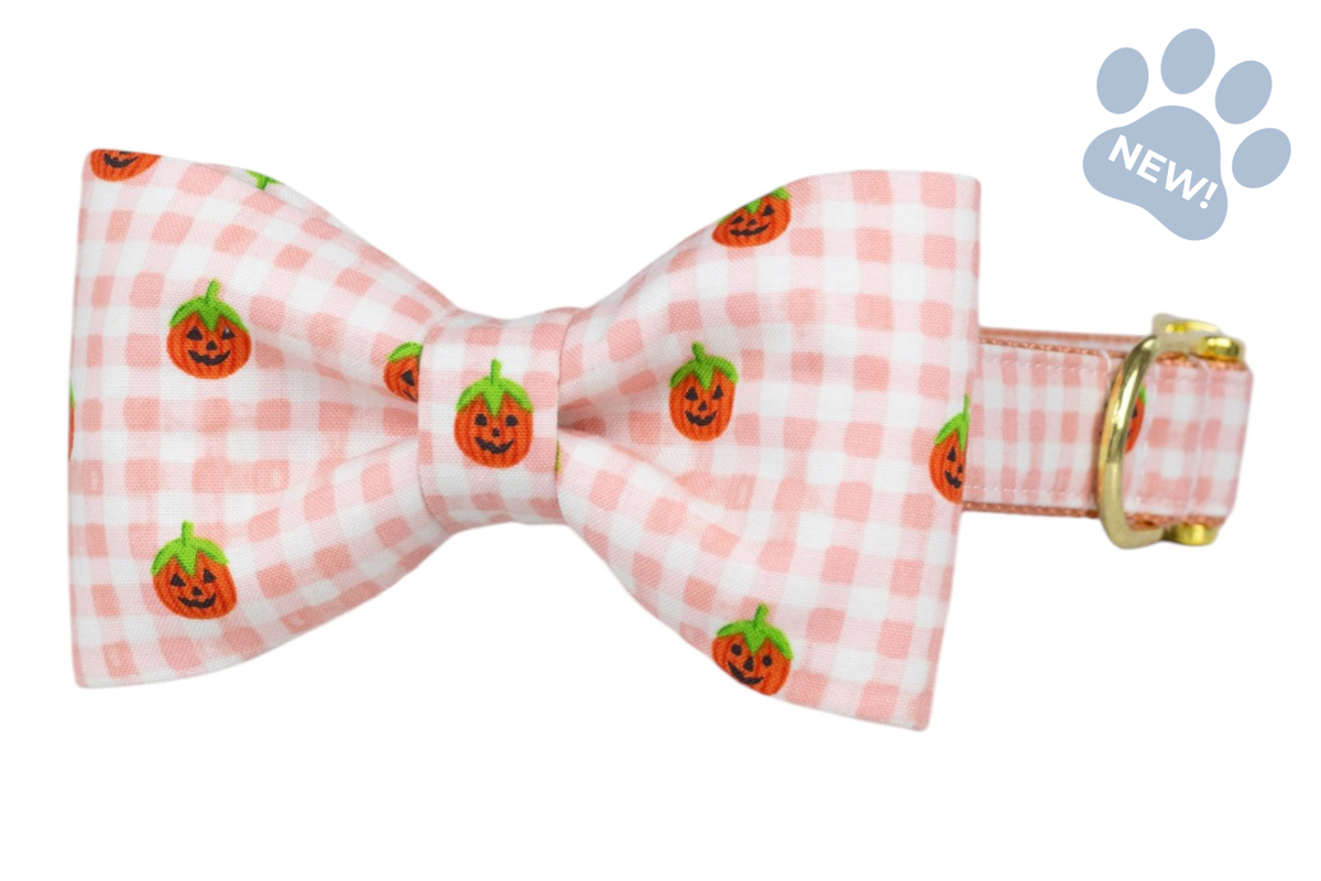 Pumpkin Gingham Bow Tie Collar