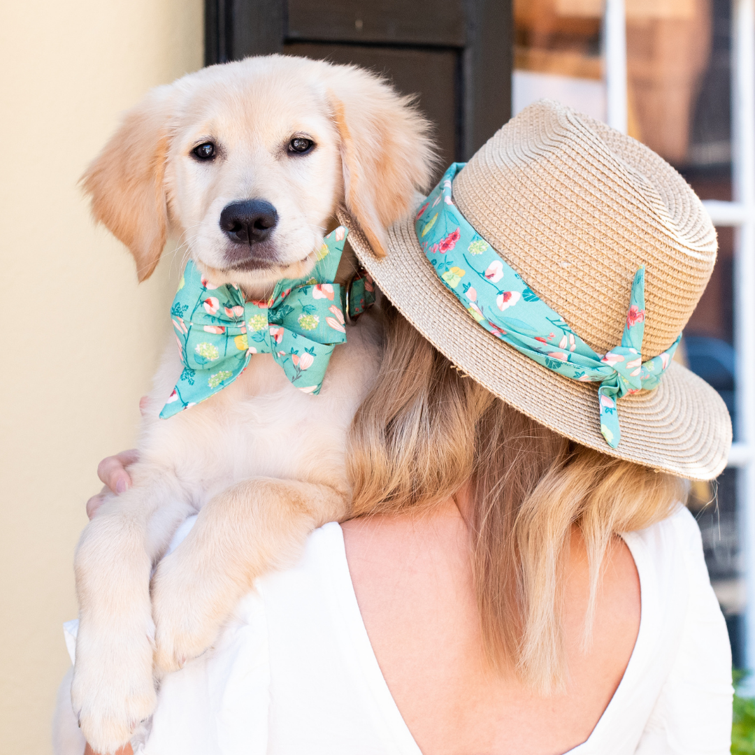 Blooming Wildflowers Belle Bow Dog Collar - Crew LaLa