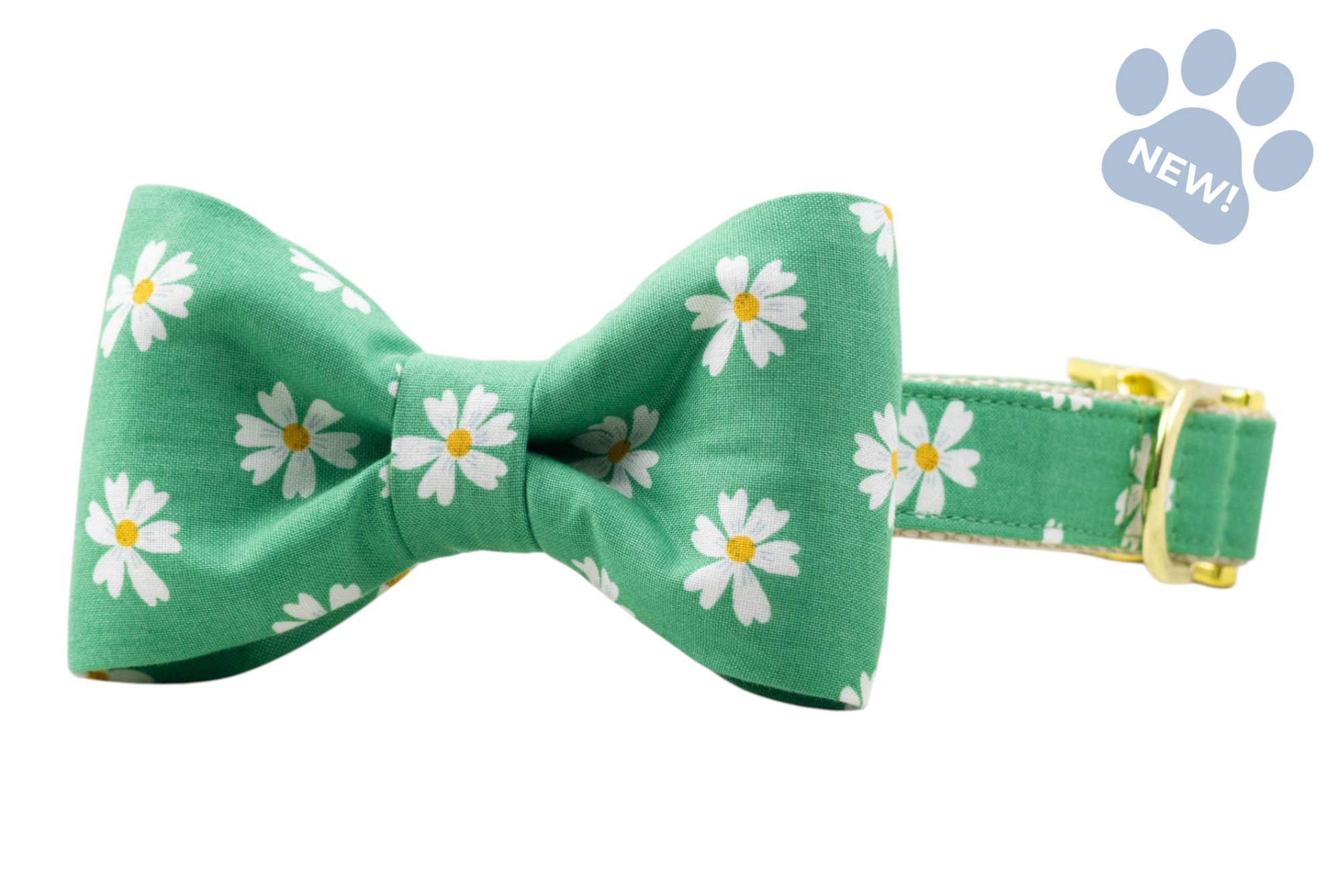Daisy Meadow Bow Tie Collar - Crew LaLa