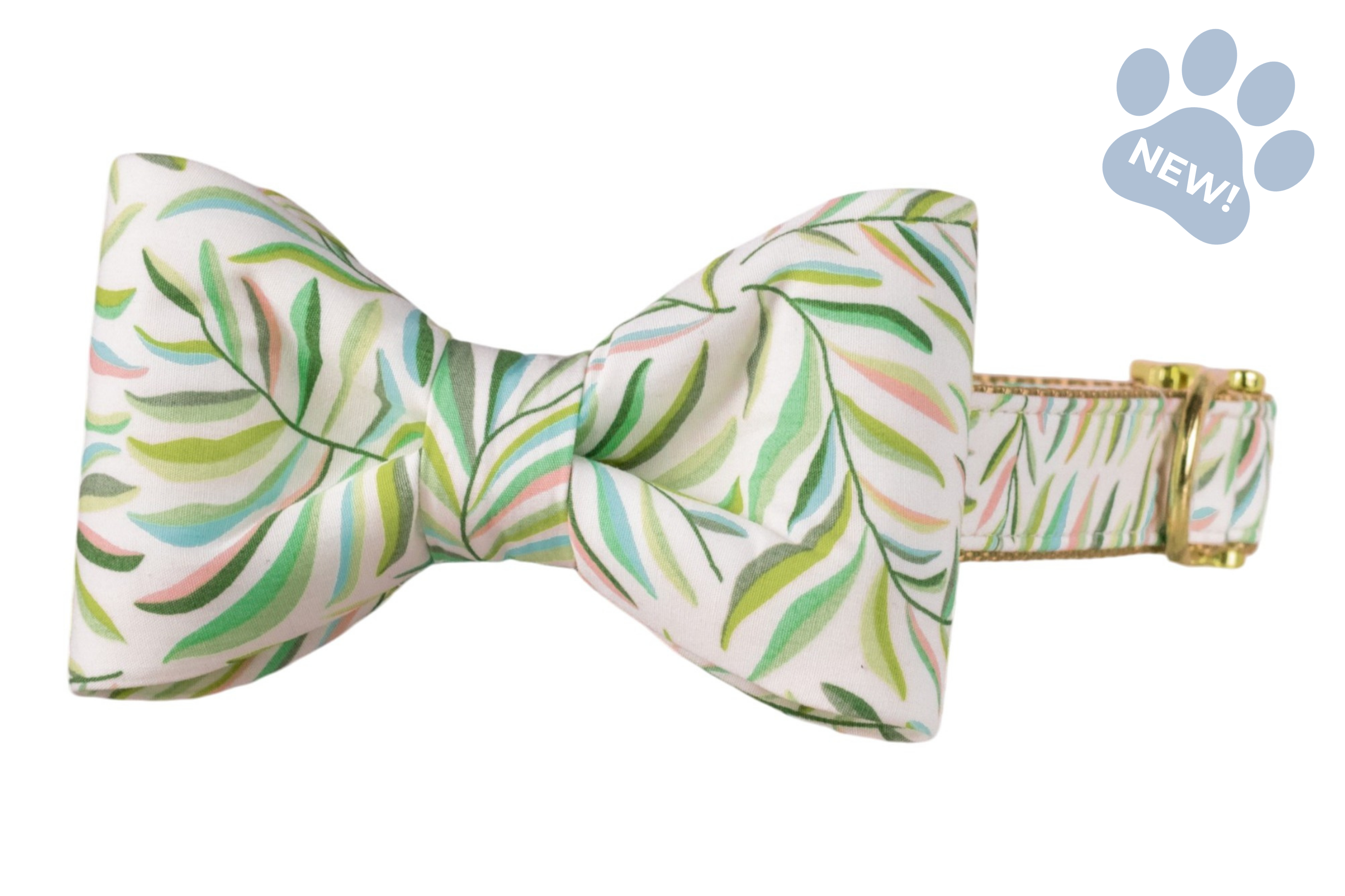Tropic Time Bow Tie Collar