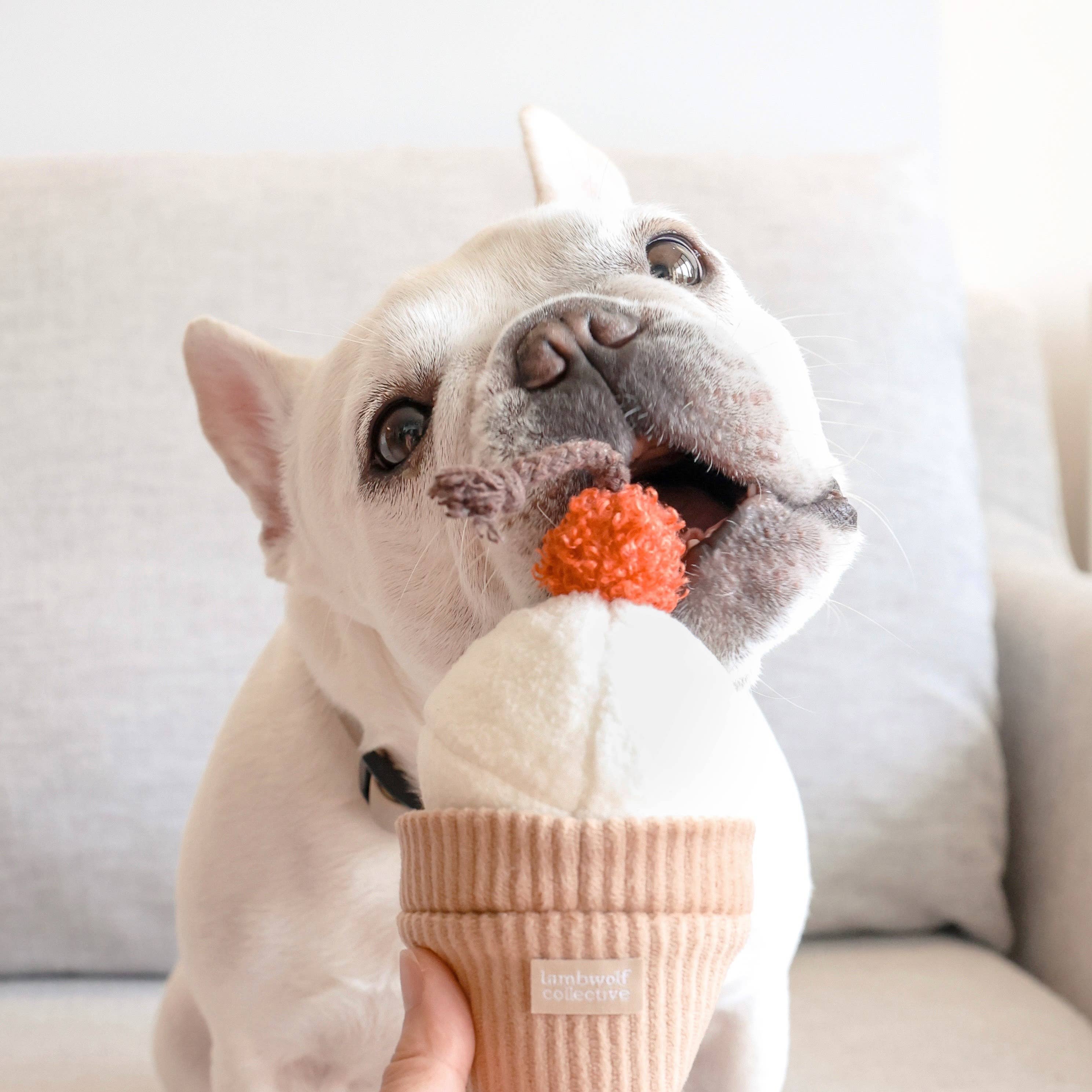 ICE CREAM POP // ENRICHMENT DOG TOY // Squeaky + Snuffle - Crew LaLa