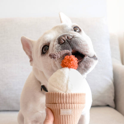 ICE CREAM POP // ENRICHMENT DOG TOY // Squeaky + Snuffle - Crew LaLa