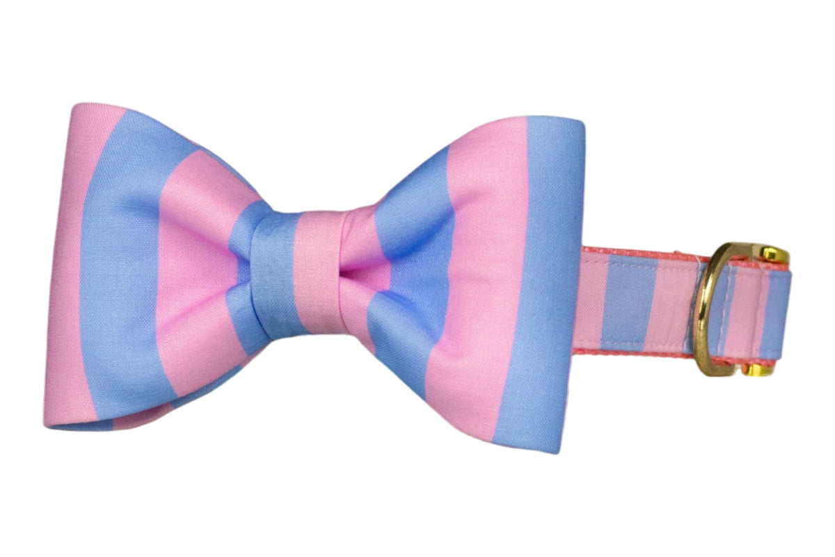 Alfresco Stripe Bow Tie Collar