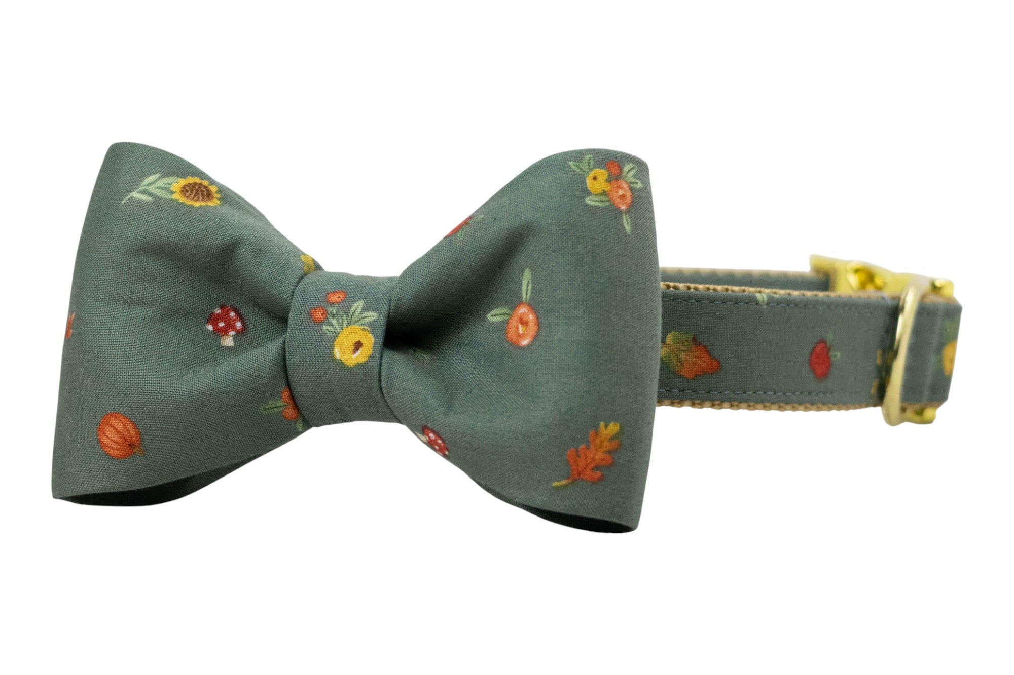 Autumn Blooms Bow Tie Dog Collar