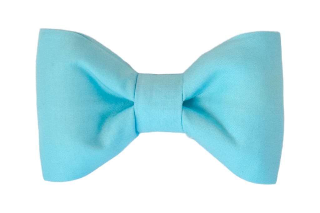 Bahama Blue Bow Tie