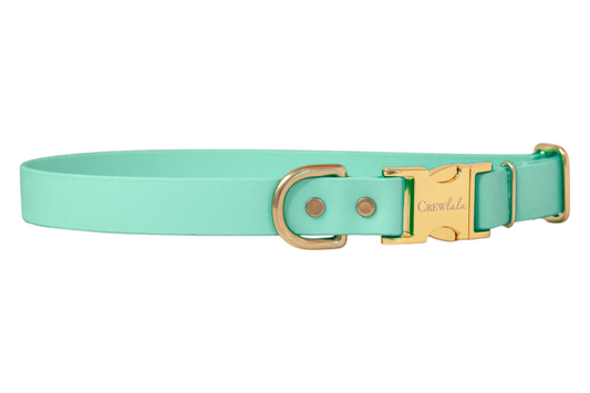 Seafoam Biothane Collar - Crew LaLa