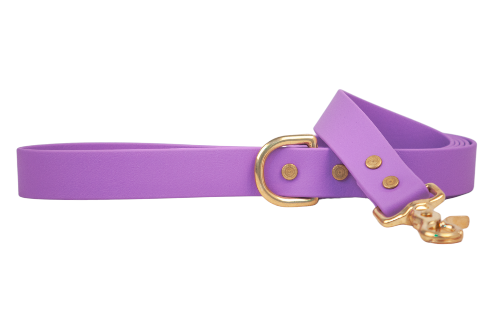 Purple Biothane 5' Leash - Crew LaLa