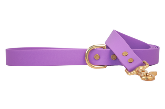 Purple Biothane 5' Leash