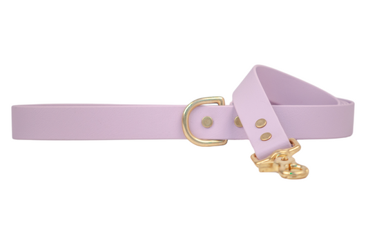 Lavender Biothane 5' Leash