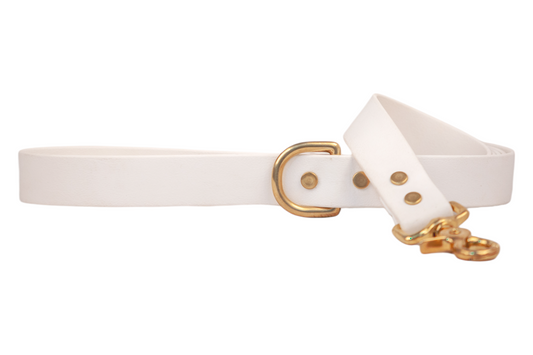 White Biothane 5' Leash