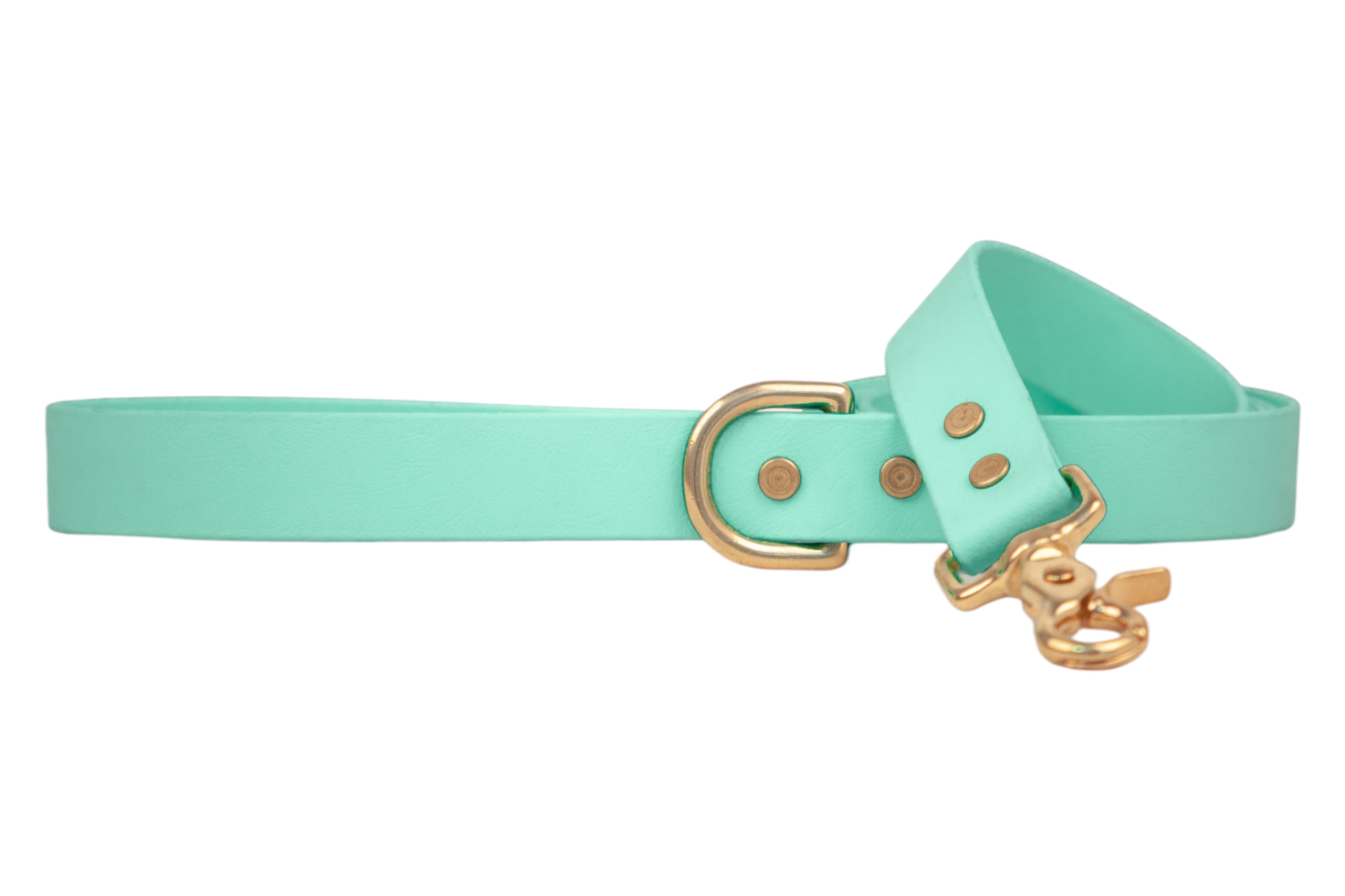 Seafoam Biothane 5' Leash - Crew LaLa