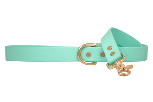 Seafoam Biothane 5' Leash