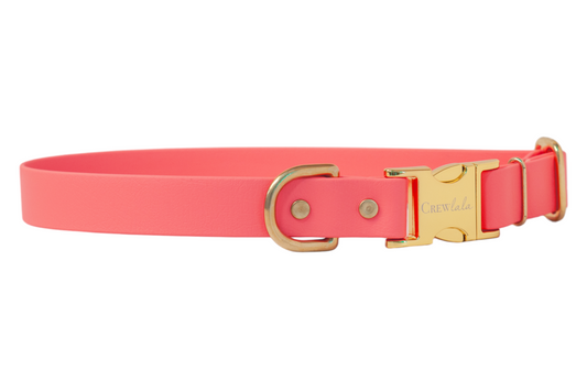 Coral Biothane Collar