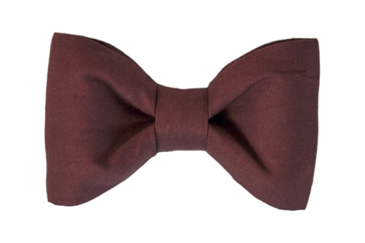 Brown Bear Bow Tie - Crew LaLa