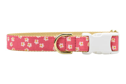 Berry Blooms Bow Tie Collar