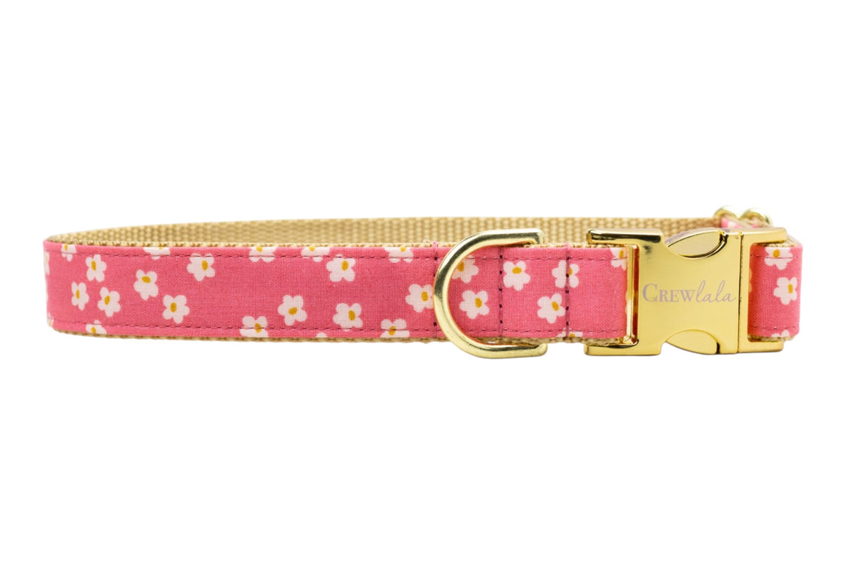 Berry Blooms Dog Collar