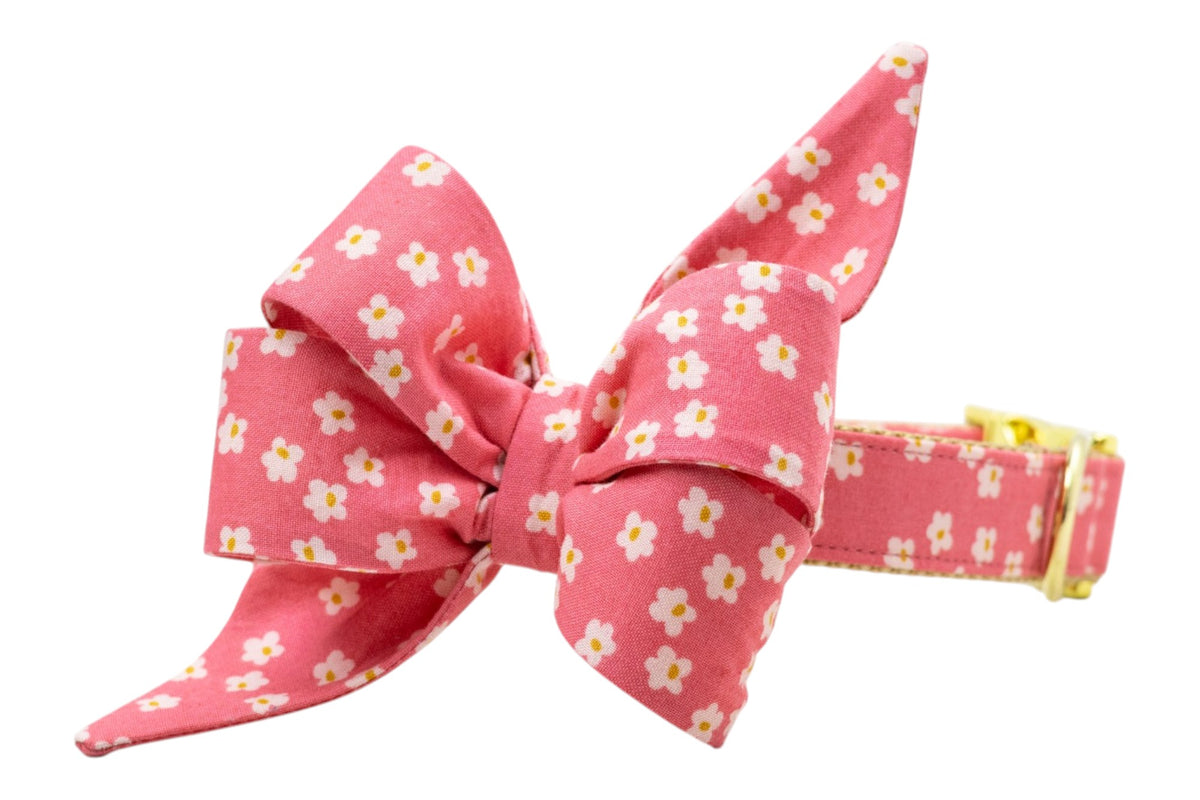 Berry Blooms Belle Bow Collar