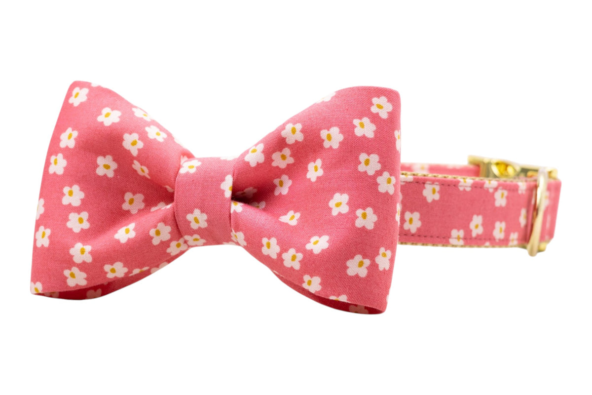 Berry Blooms Bow Tie Collar