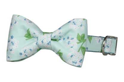 Blue Hydrangeas Bow Tie Collar