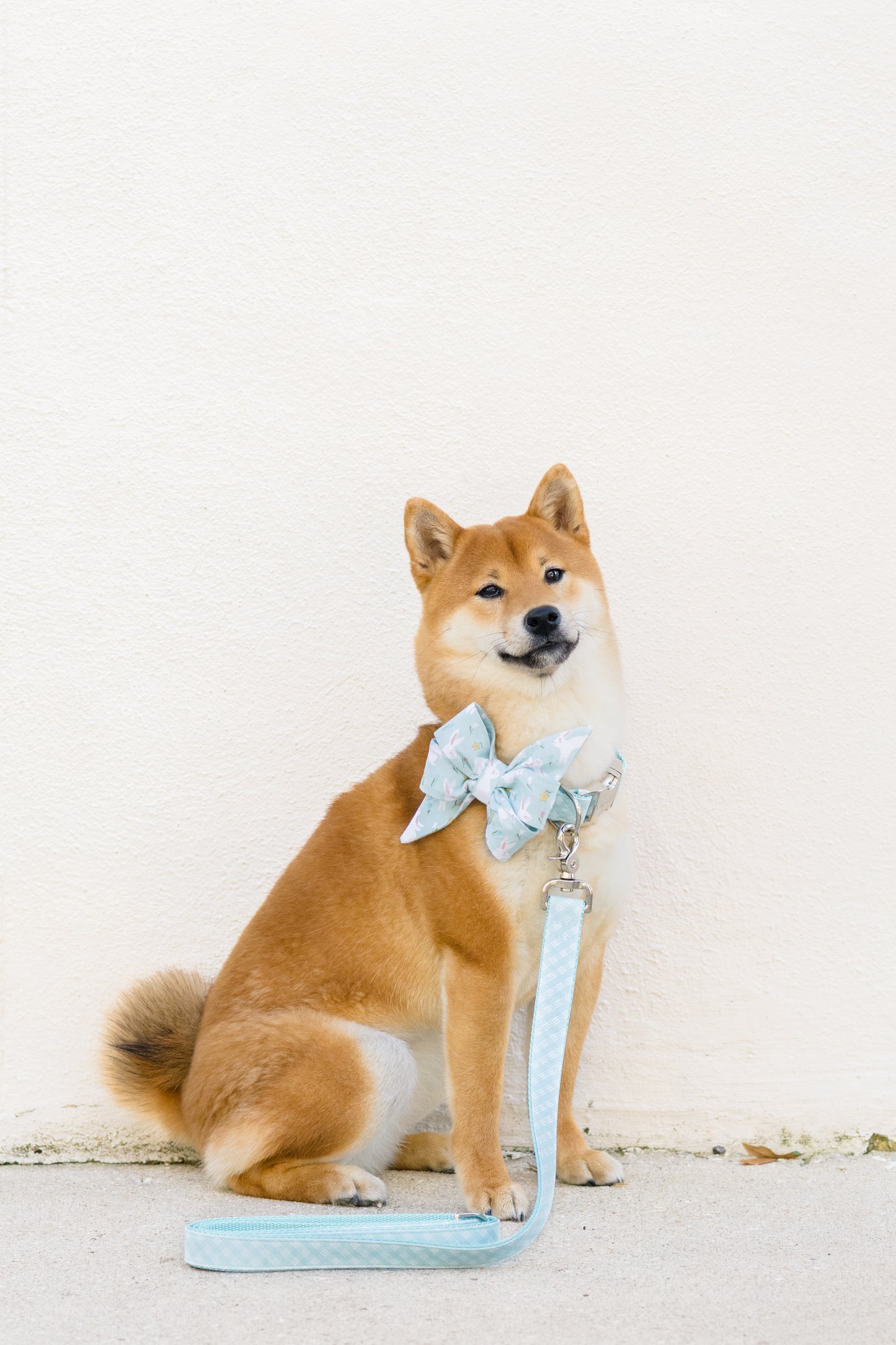 Bunny Tales Belle Bow Dog Collar