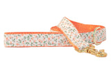 Canterbury Dog Leash