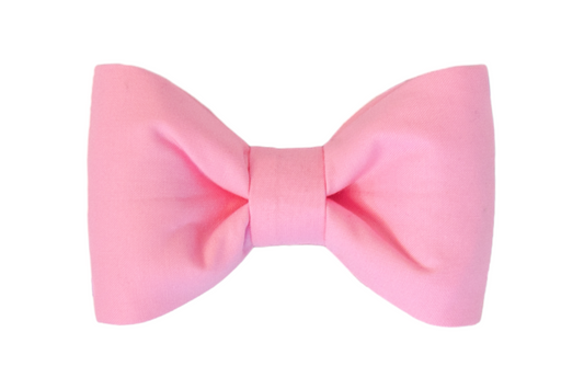 Carnation Bow Tie - Crew LaLa