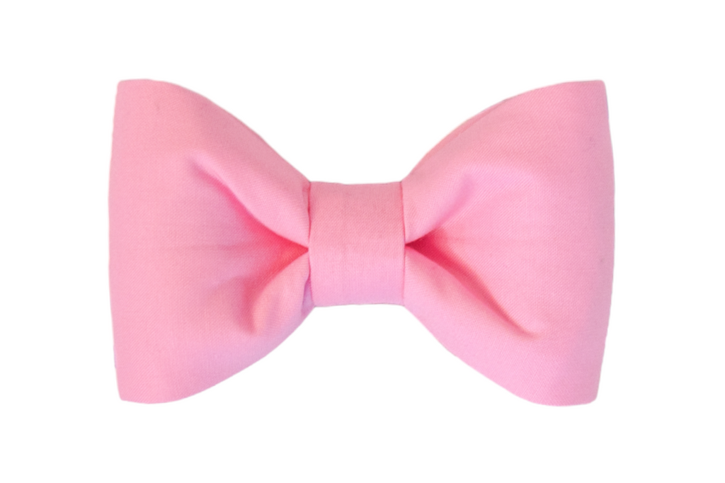 Carnation Bow Tie