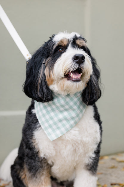 Sage Check Dog Bandana - Crew LaLa