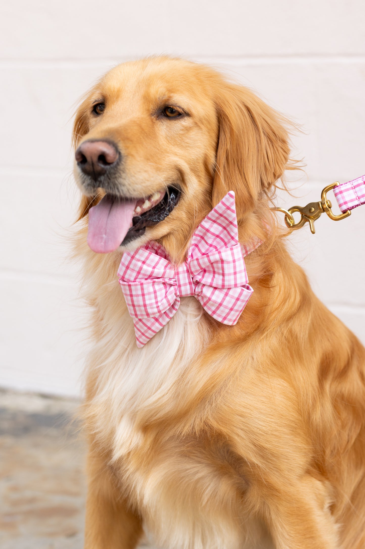 Palmer Pink Gingham Belle Bow Dog Collar - Crew LaLa
