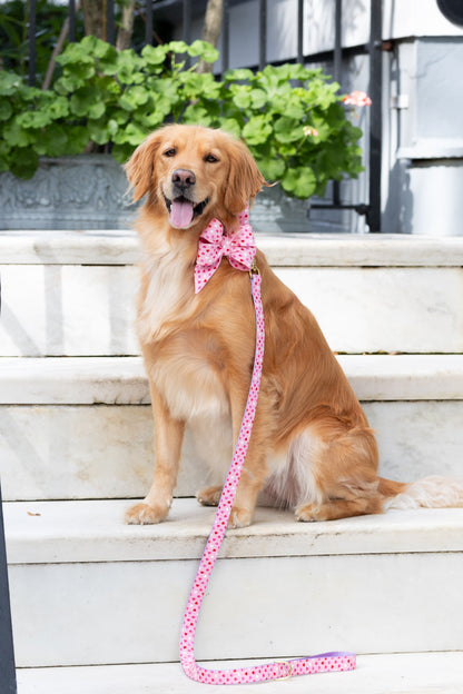 Candy Hearts Belle Bow Dog Collar - Crew LaLa