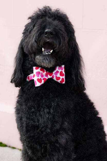 Tinder Hearts Bow Tie Dog Collar - Crew LaLa