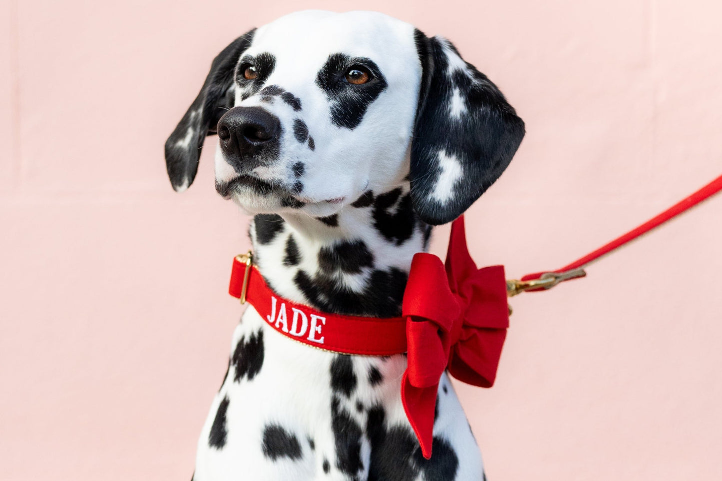 Scarlet Red Belle Bow Dog Collar - Crew LaLa