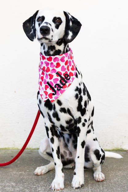 Tinder Hearts Dog Bandana - Crew LaLa