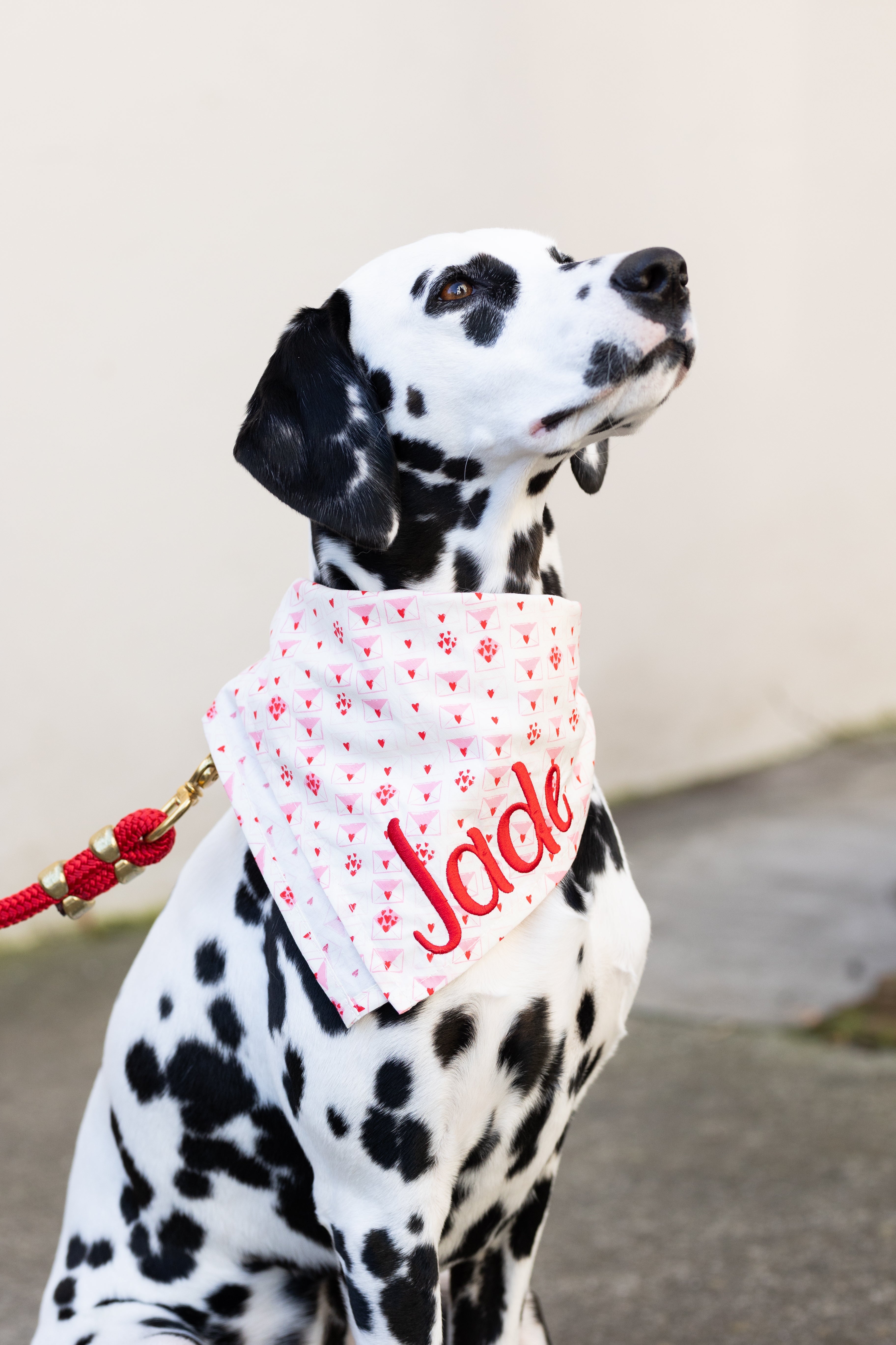 Sent With Love Dog Bandana - Crew LaLa