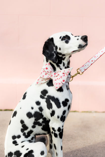 Sent With Love Belle Bow Collar - Crew LaLa