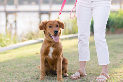 Hot Pink Biothane 5' Leash - Crew LaLa
