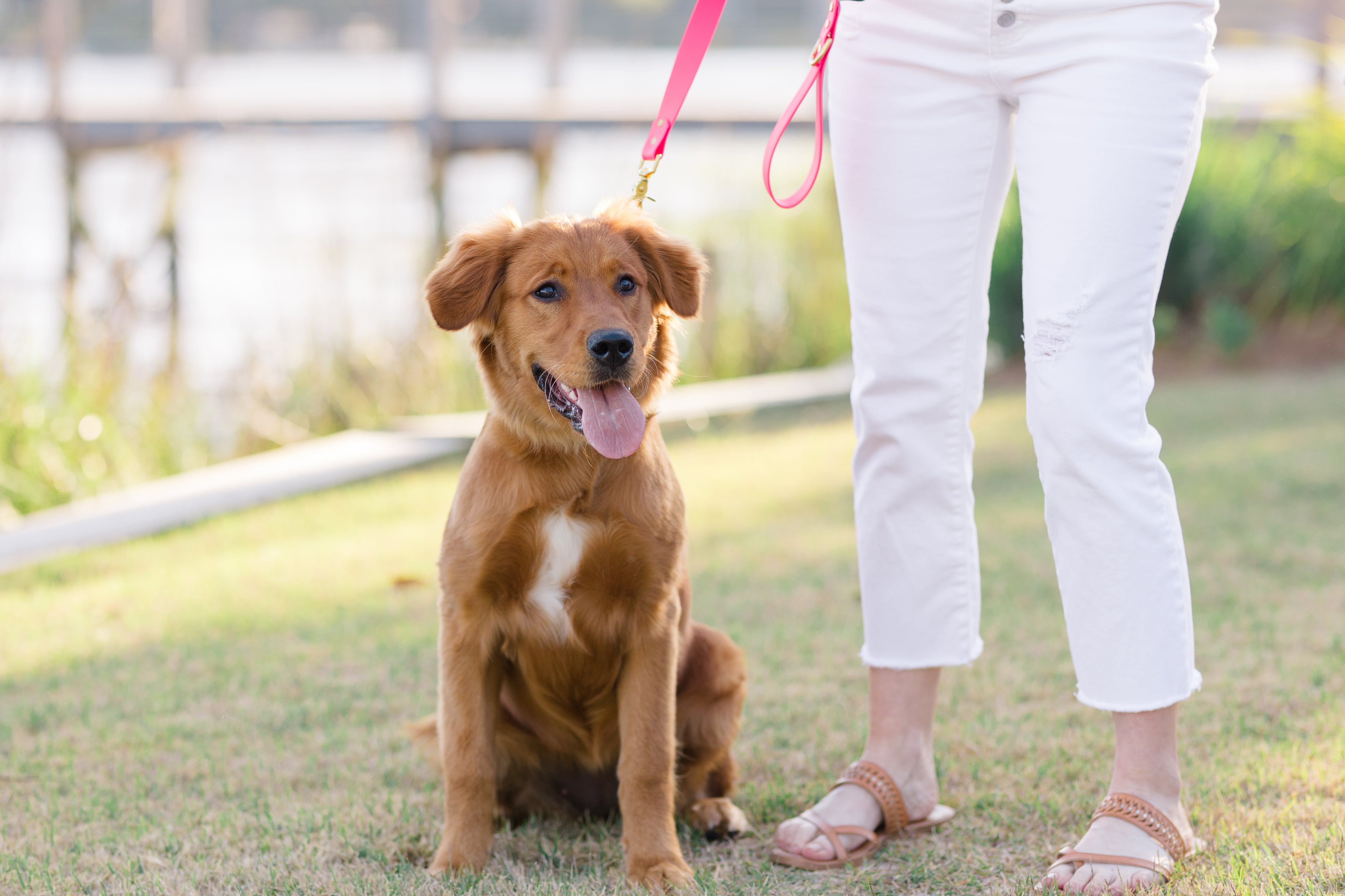 Hot Pink Biothane 5' Leash - Crew LaLa